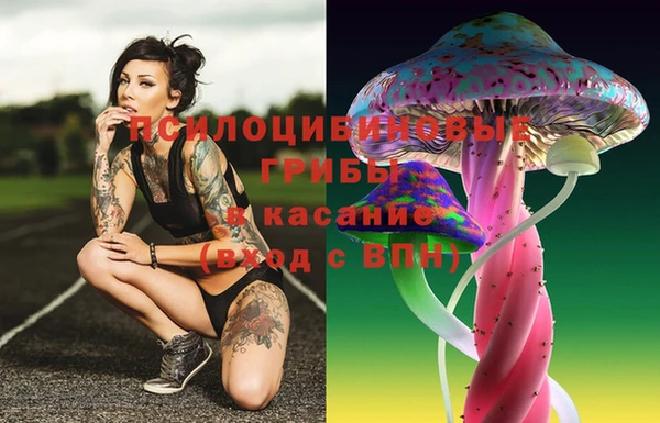 винт Бугульма