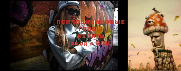 винт Бугульма